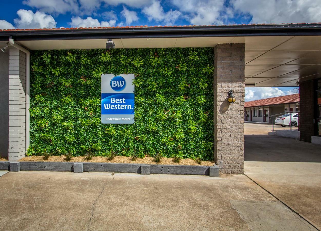 Best Western Endeavour Motel Maitland Exterior foto